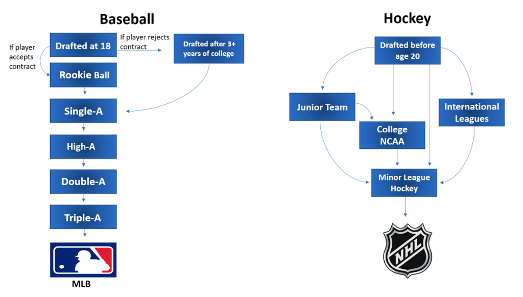 steps for making it to MLB or NHL