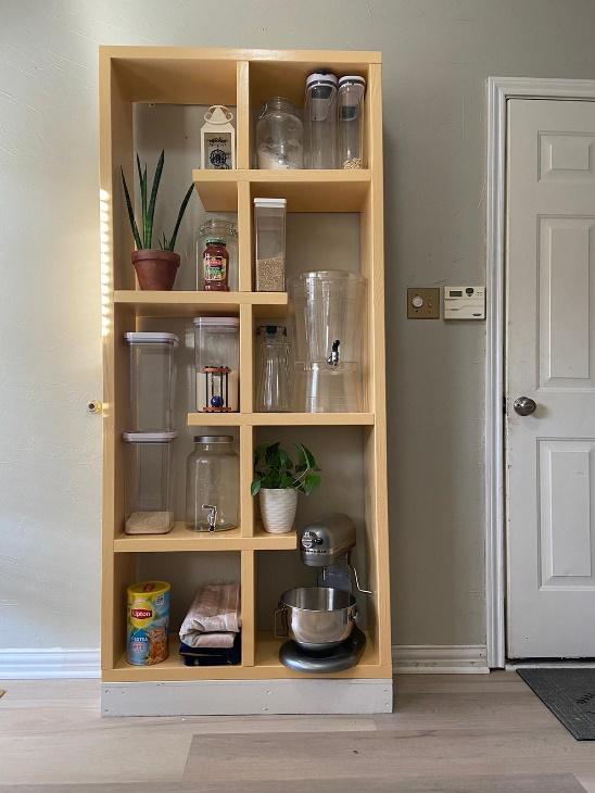 Wooden shelves with plants and kitchen appliances
