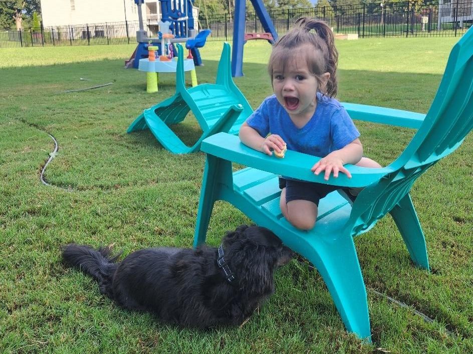 young girl and dog playing outside